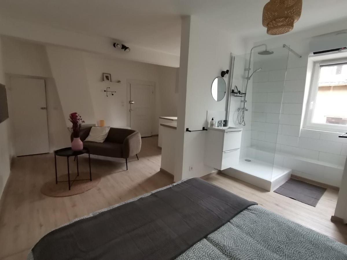 Appartement Toi Mon Toit à Colmar Extérieur photo